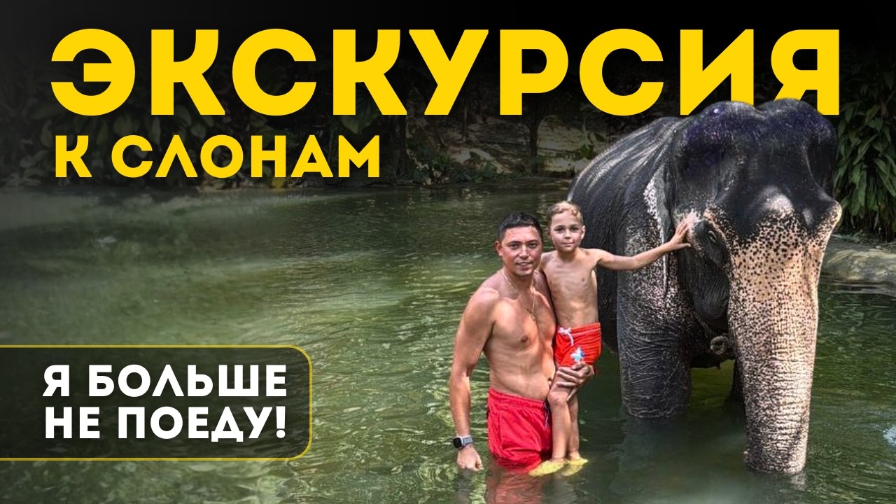 Экскурсия к слонам в Таиланде: восторг, сомнения и эмоции на всю жизнь