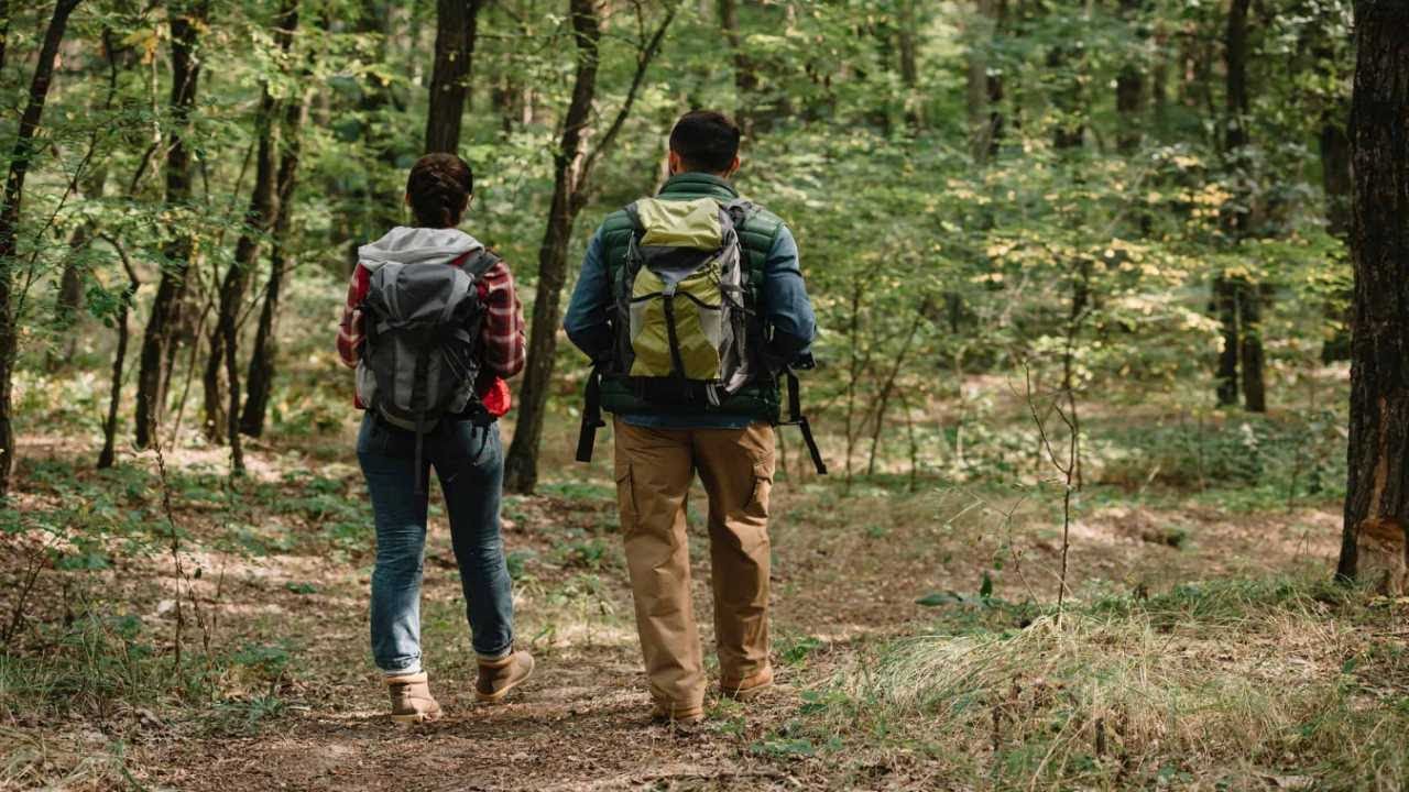 Top 5 best north face backpack 2024