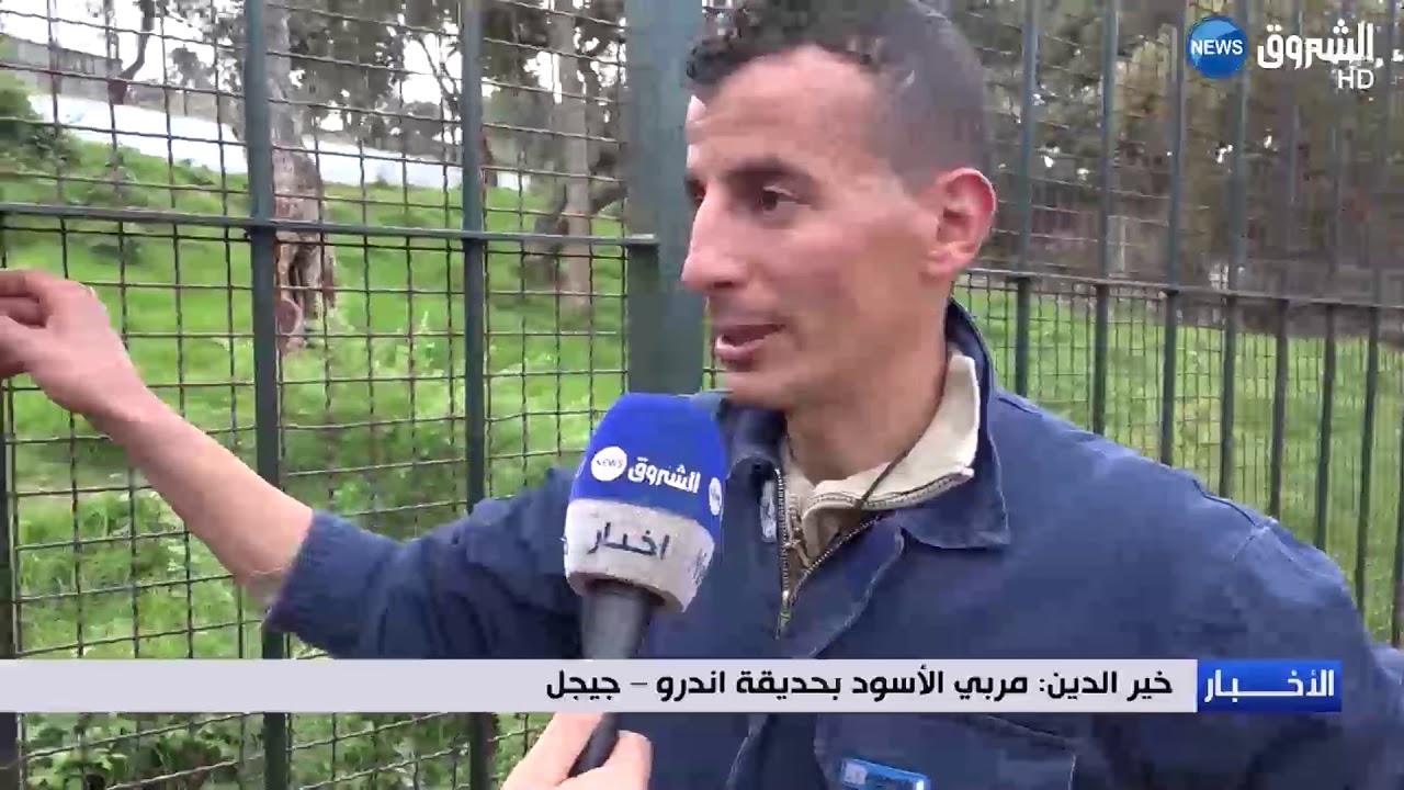 جيجل :خير الدين مروض ملك الغابة وصديق أشباله