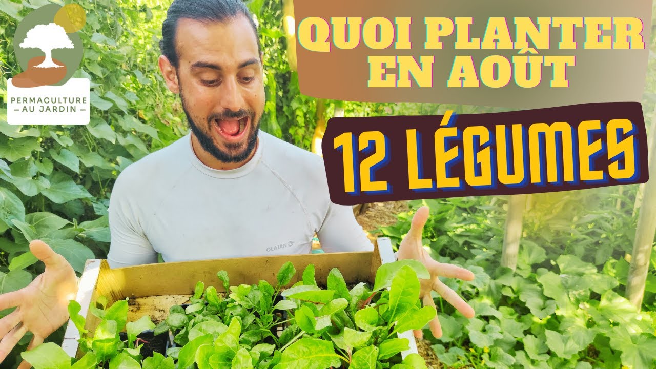 12 Légumes à Planter et à Semer en Août pour anticiper le potager d'automne/hiver ! 🌱