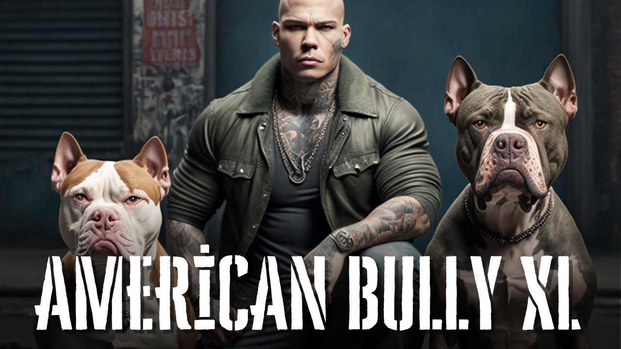 American Bully XL – Standard, Regimen, Bloodlines, Breeding & FAQ