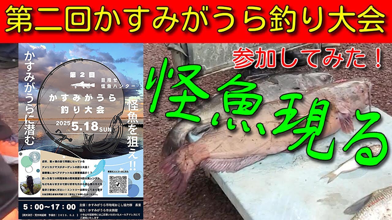 【霞ヶ浦】第二回かすみがうら釣り大会に参加してみた！