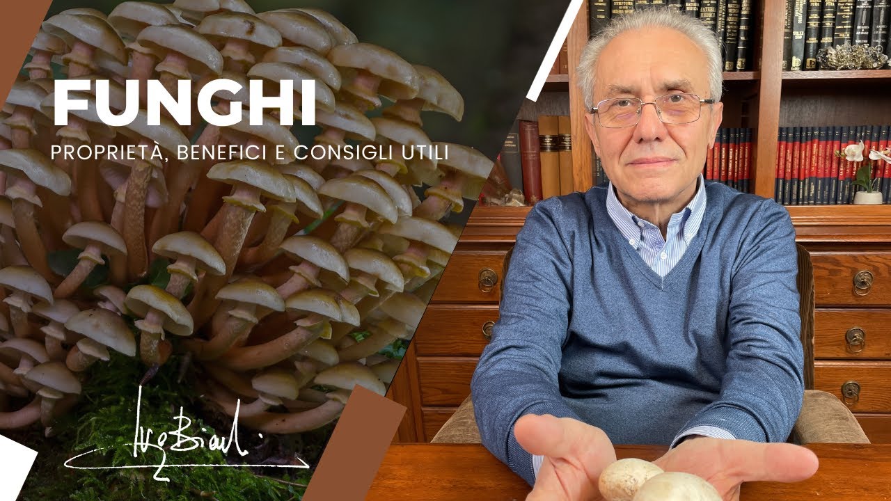 I FUNGHI per una SANA e COMPLETA ALIMENTAZIONE