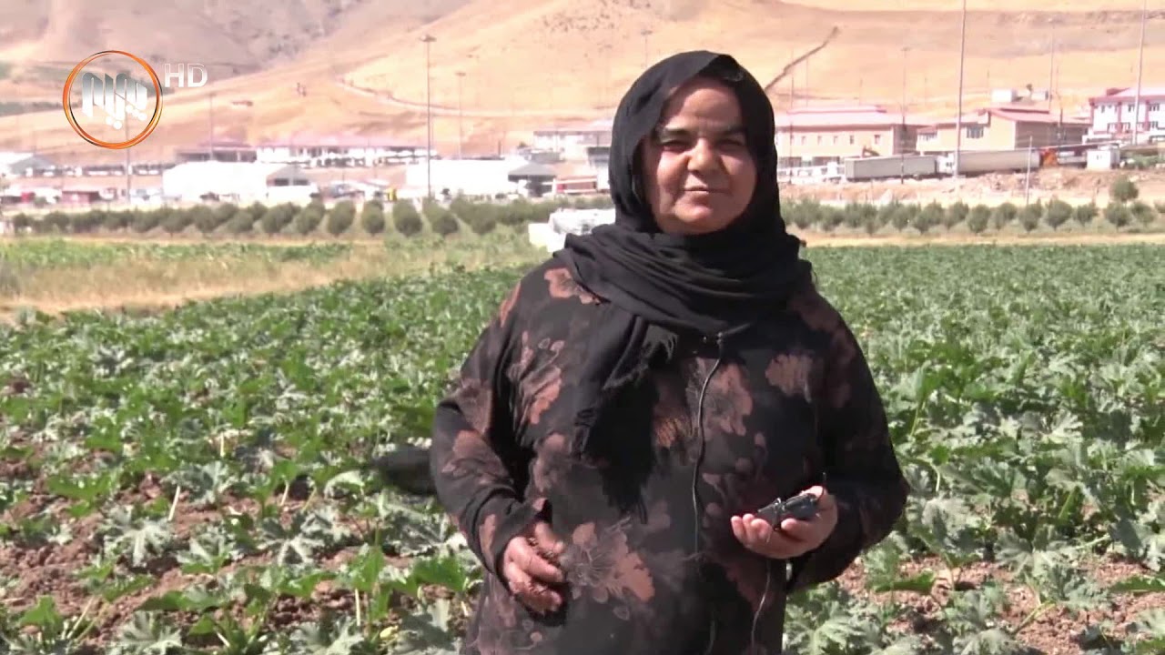 حاجی ئۆمەران خاكێكی بە پیت، ئاوێكی سازگار و بەرهەمی كشتوكاڵی نایابی هەیە