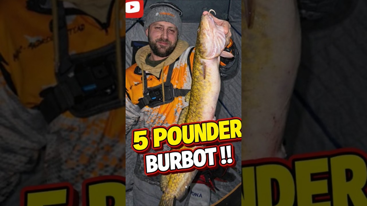 5 pound burbot took my minnow!!!😳🎣 