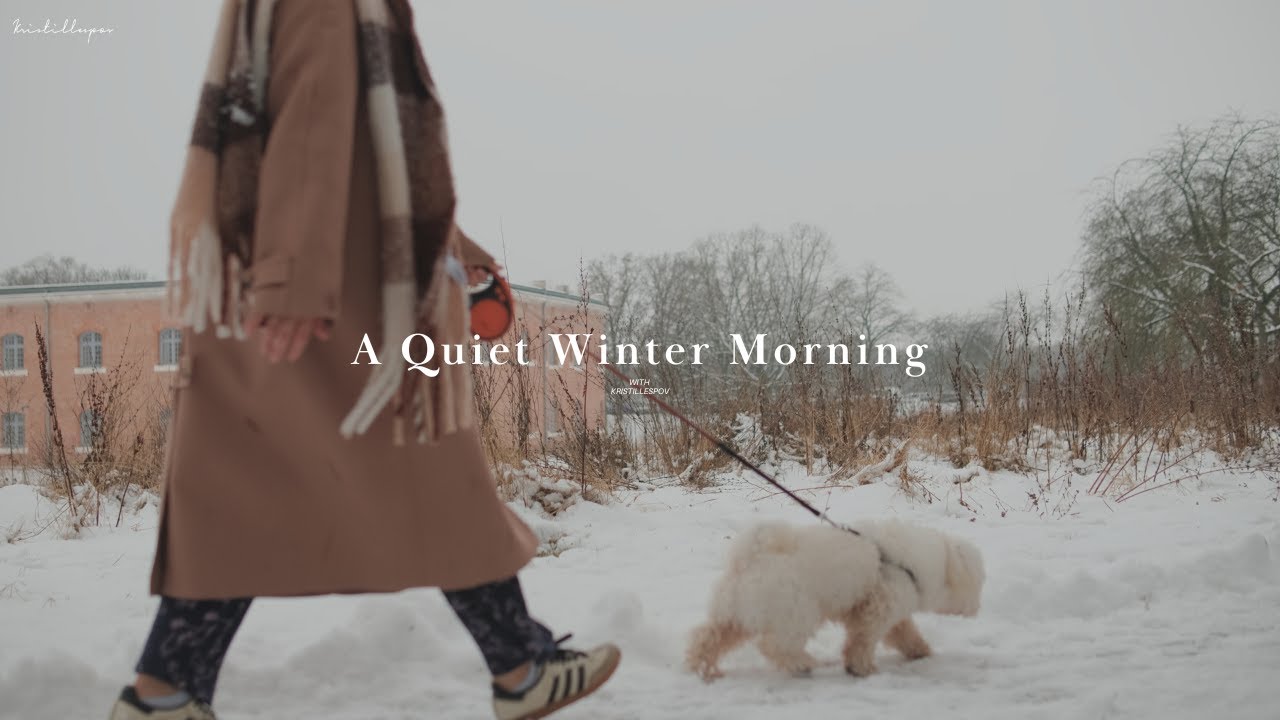  When Life Feels Slow | A Quiet Winter Morning | Silent and Cozy Vlog