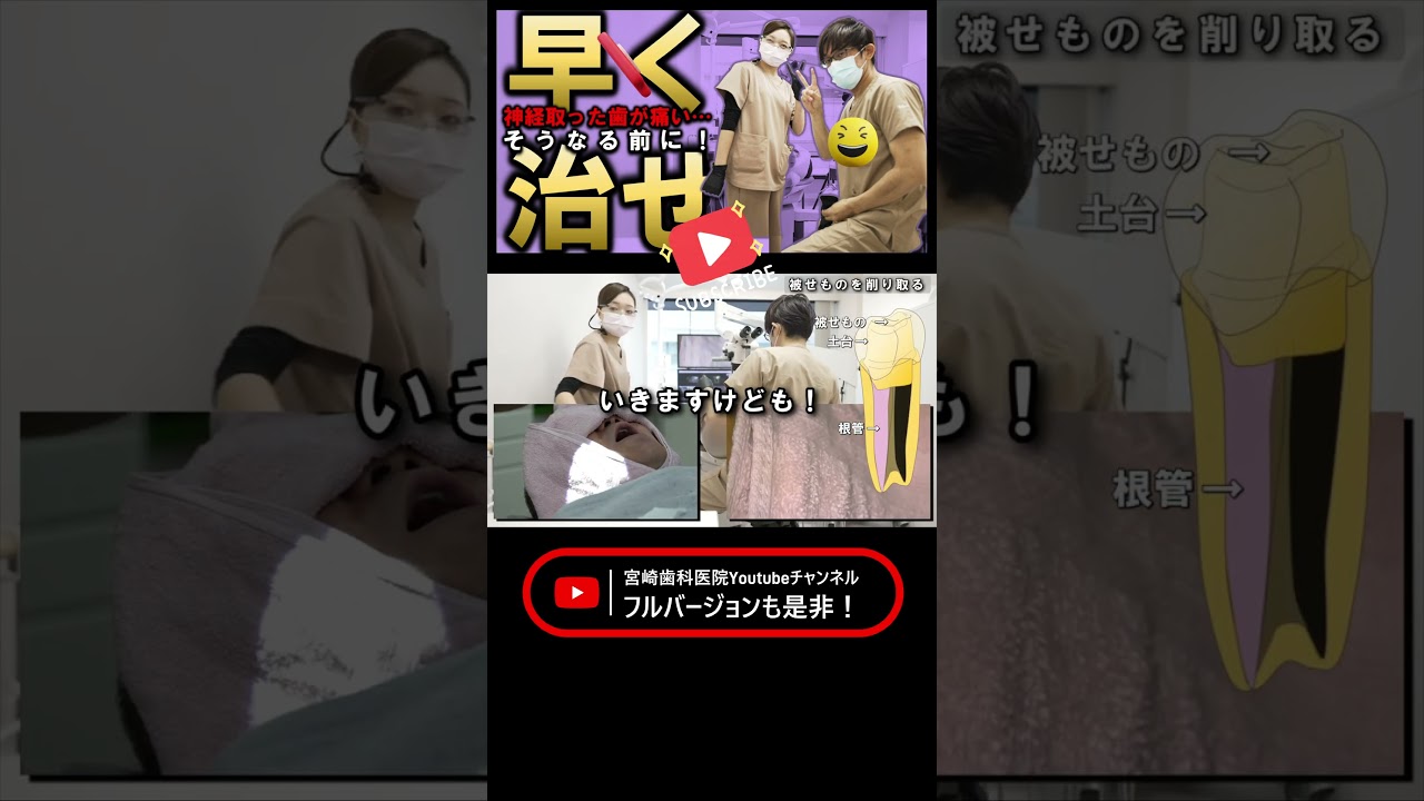 【 すでに手遅れ？】神経取った歯が痛い…根管治療のやり直しは出来るだけ早く！！根尖病巣のある歯を再根管治療する様子 #宮崎歯科医院