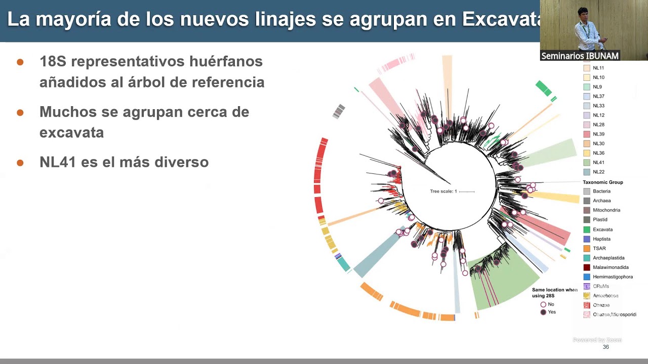 Más allá del microscopio: Descubriendo nuevos linajes de protistas mediante metagenómica global