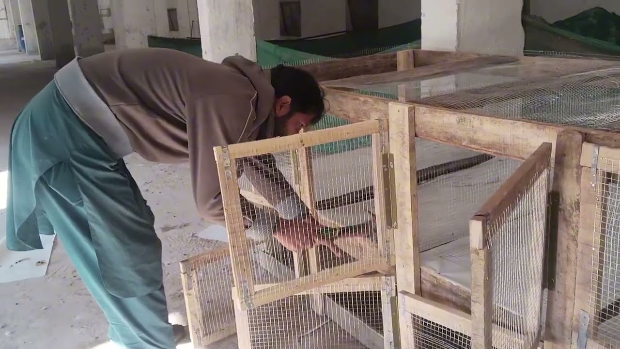 Making cages for pigeons and rabbits 🤩❤️