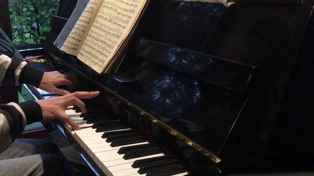 Beethoven Piano Sonata No. 1 in F minor - IV. Prestissimo