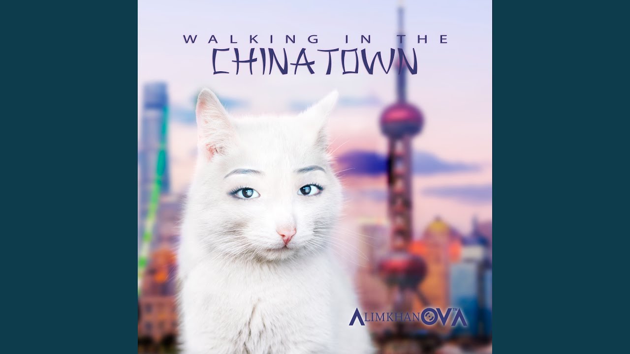 Walking in the Chinatown