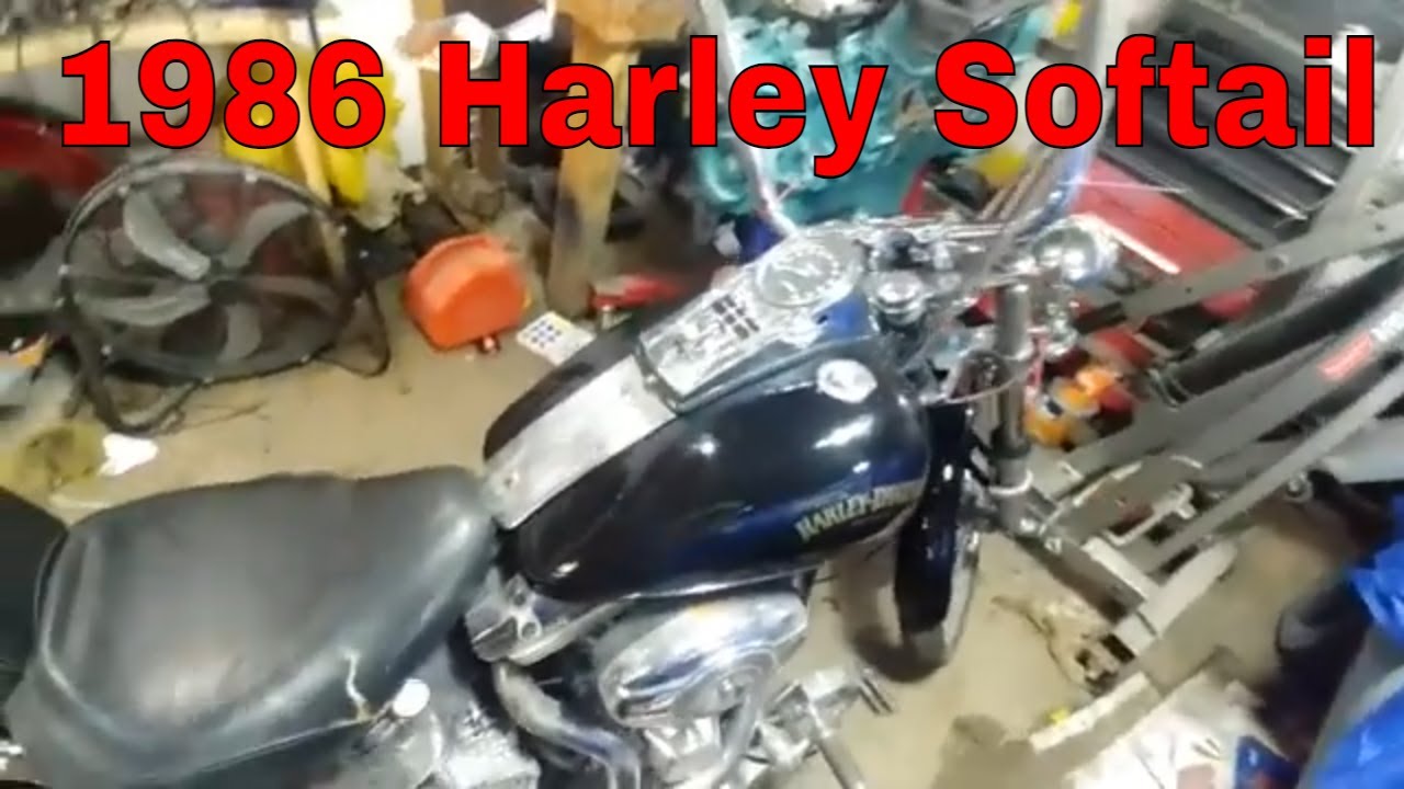 1986 Harley Soft Tail project done and runs