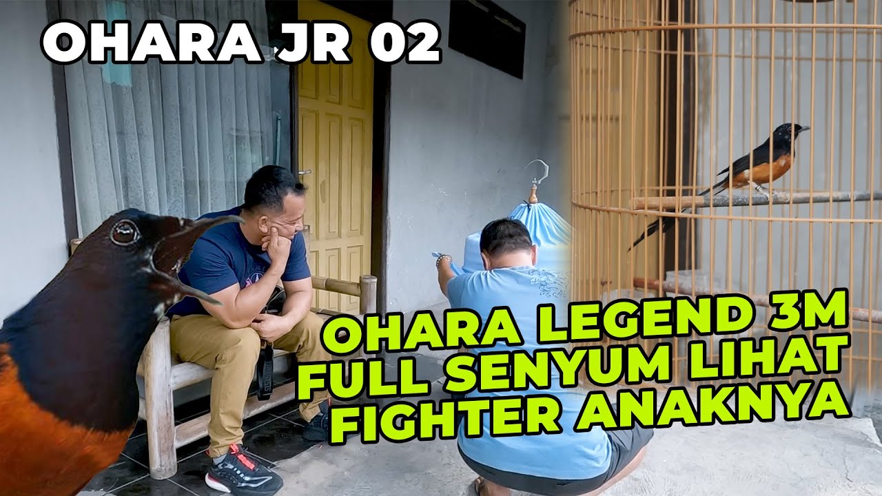 TRAH MEMANG TAK BISA BOHONG, OHARA JR 02 WARISI FIGHTER BAPAKNYA!!!