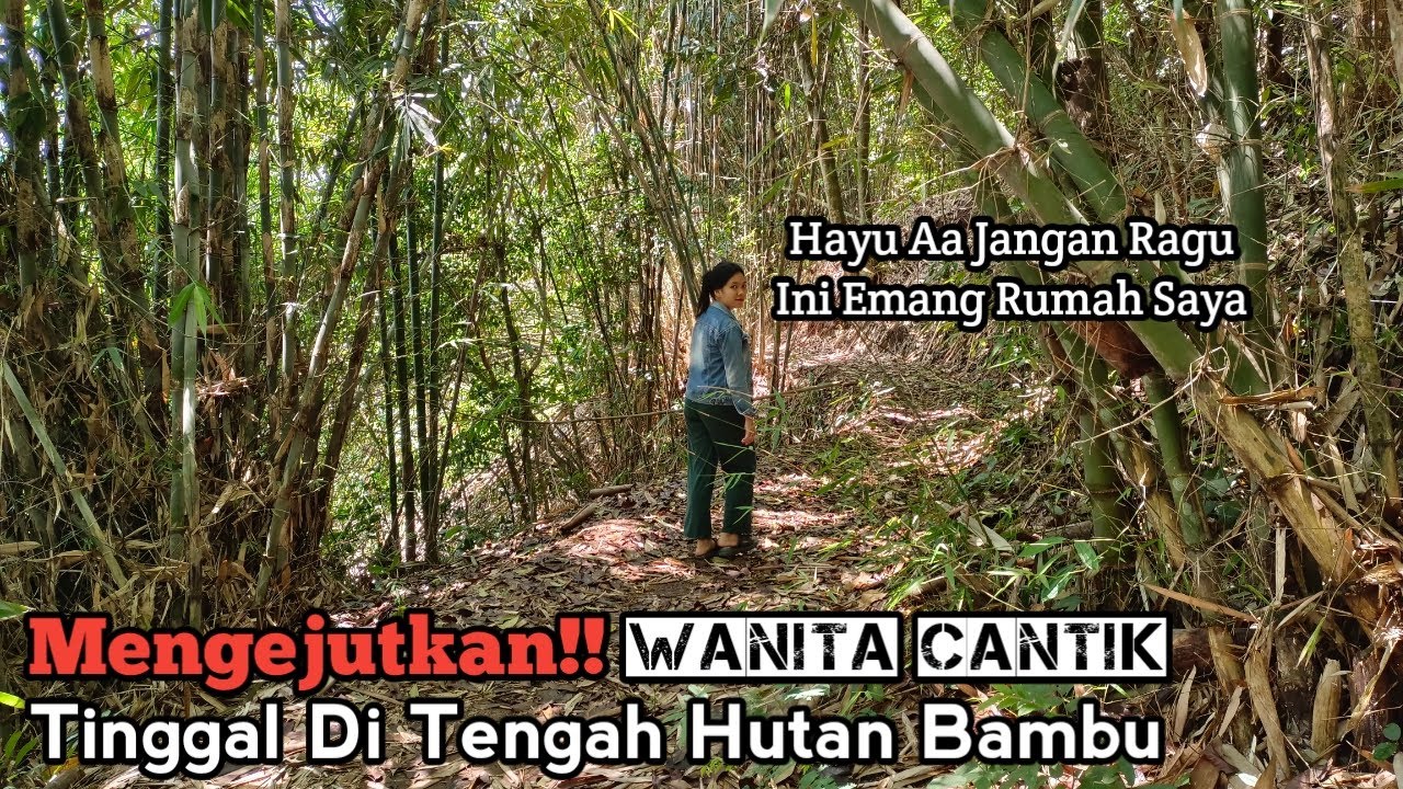 Rumah Wanita Cantik Di Hutan Bambu Hidup Menyendiri Tanpa Tetangga Bareng Macan Pembawa M4Y4T