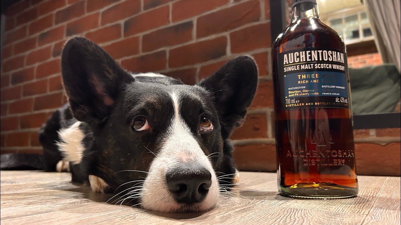 Виски Auchentoshan Three wood.