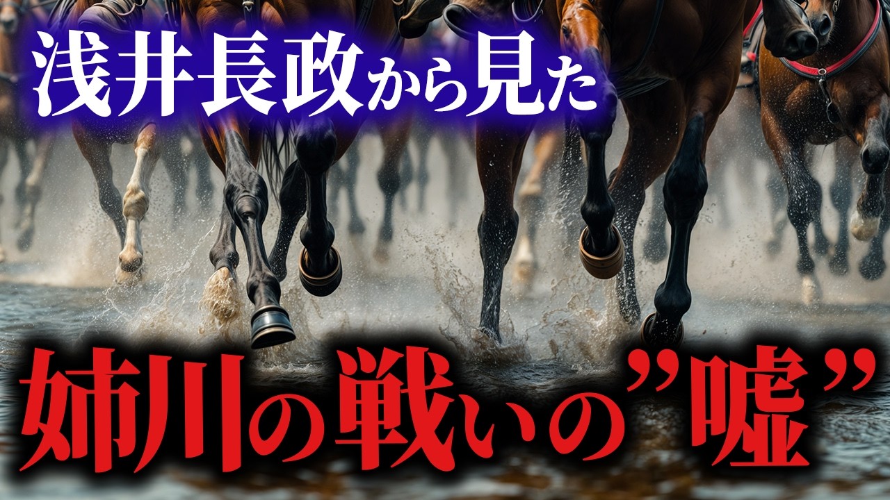 【実は負けてた？】裏切りの謎と新・姉川の戦い