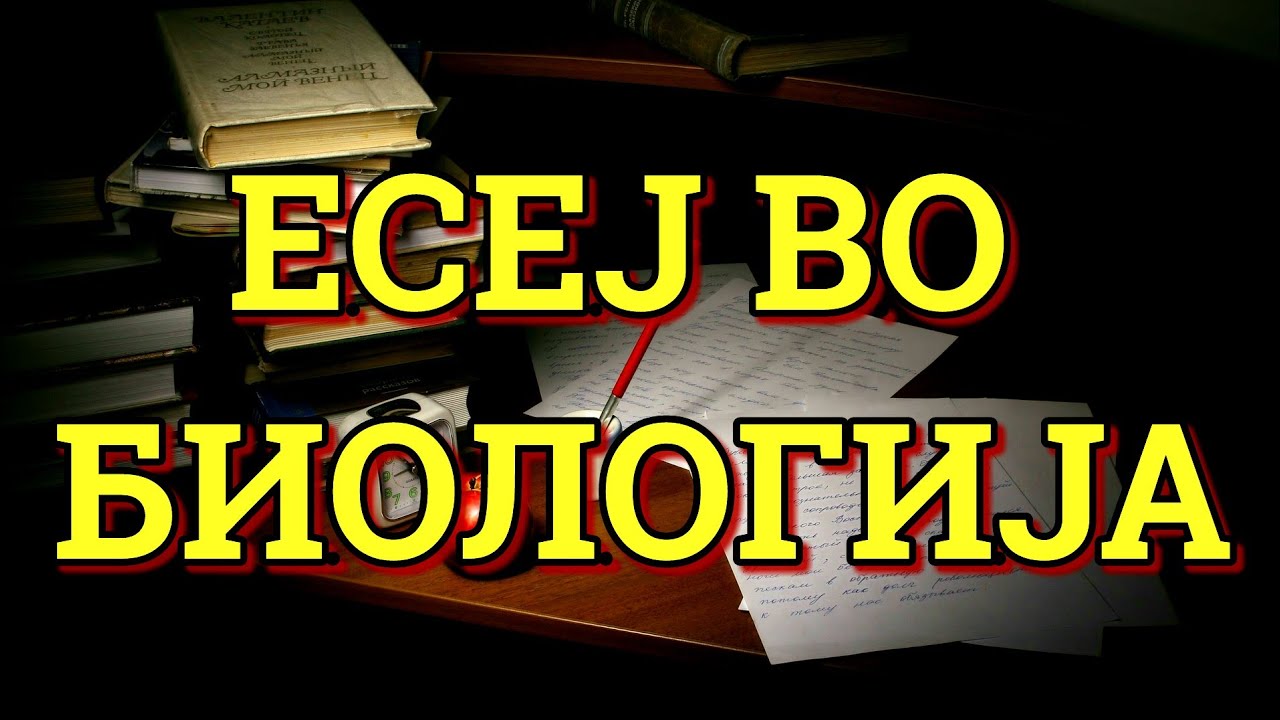 КАКО СЕ ПИШУВА ЕСЕЈ? КОИ СЕ ПРАВИЛАТА ПРИ ПИШУВАЊЕ ЕСЕЈ?