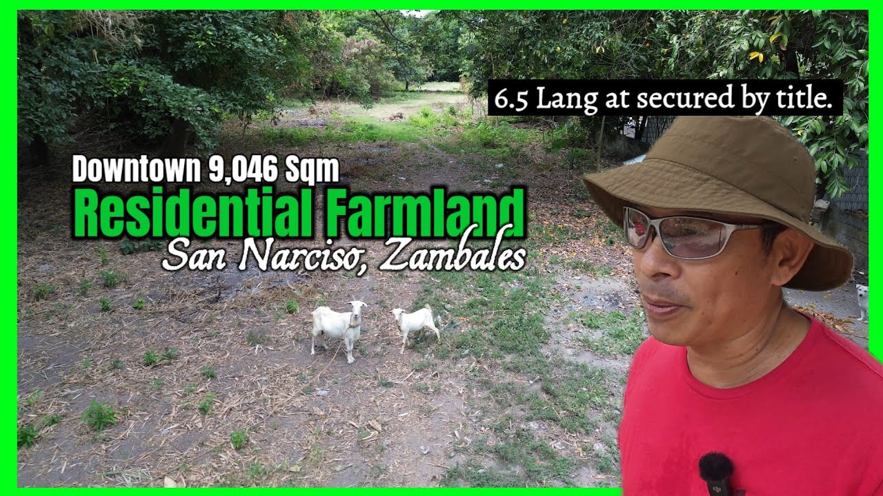 Murang Residential Farm sa Downtown ng San Narciso, Zambales