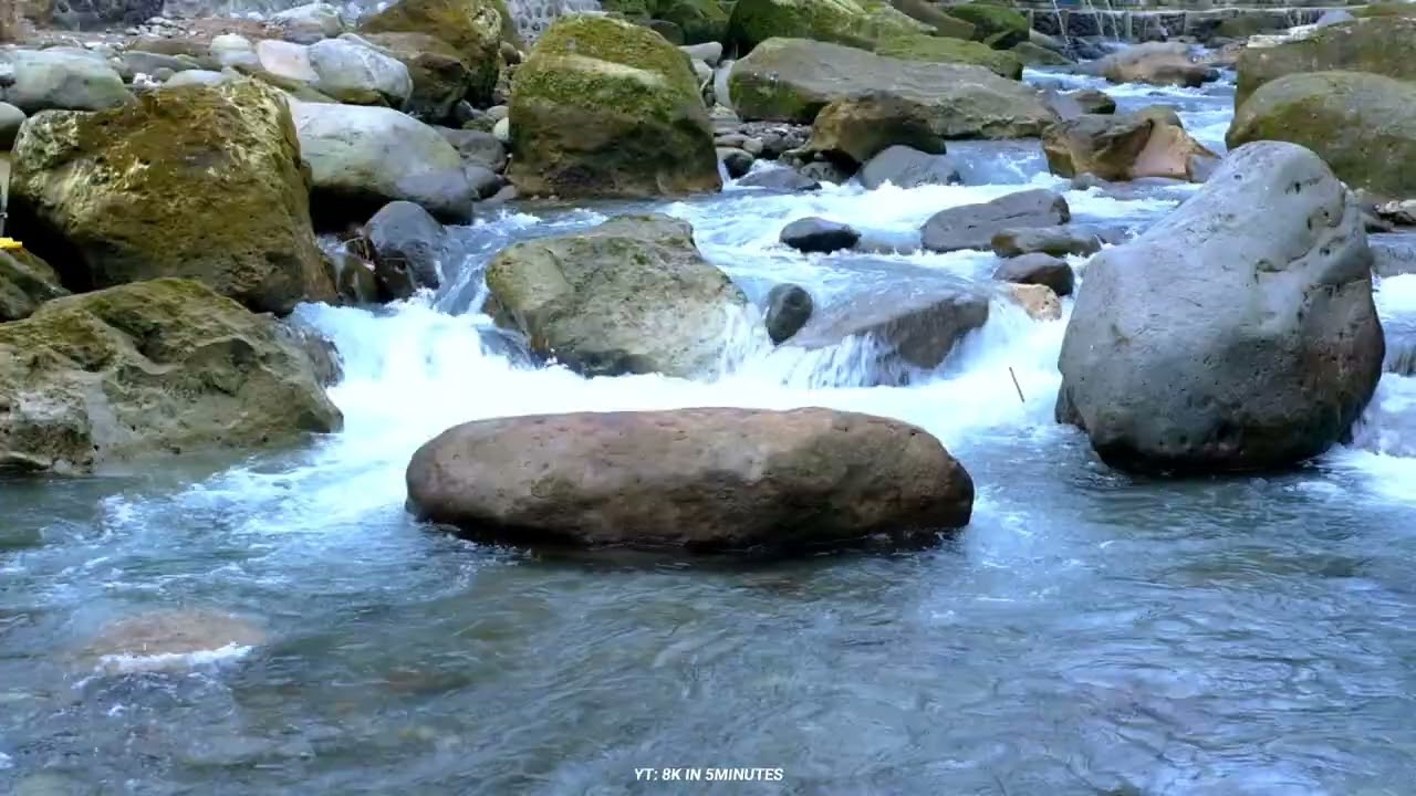Rushing River Sounds for Deep Sleep | Fast Flowing Water Over Rocks (8 Hours)