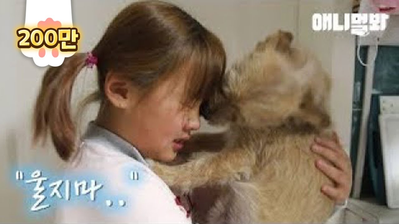 Собака вытирает слезы с девушки, которая плачет из-за него .. И год спустя