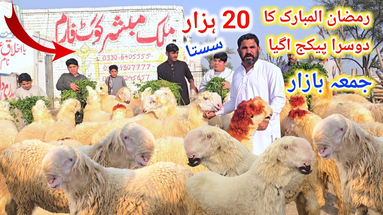 27 February 2026 جمعہ بازار ہول سیل مال ٹوٹل چالیس مندرے سلطان نسل کے رمضان المبارک کا دوسرا پیکیج 