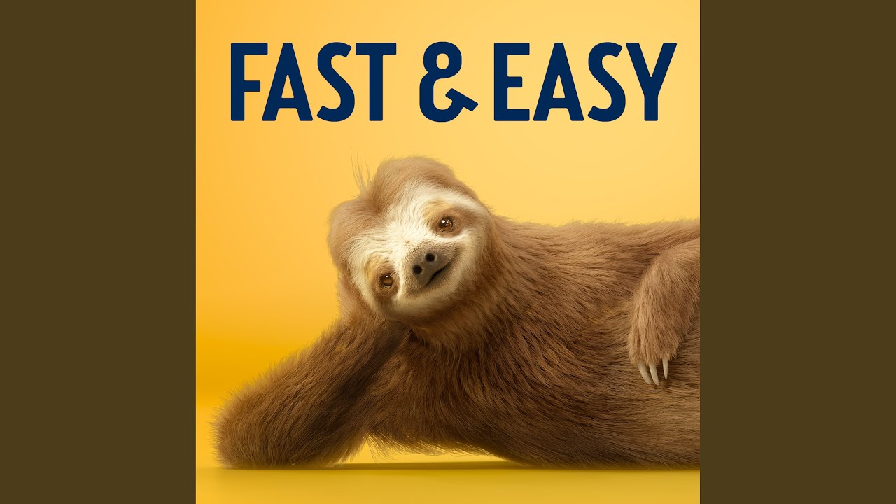 Fast & Easy