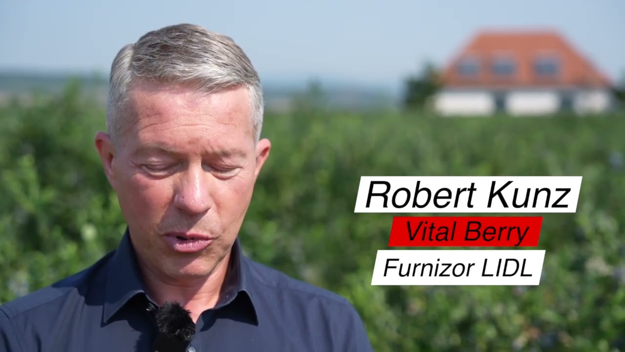 Robert si afinele de Beriu. O poveste impotriva conspiratiilor