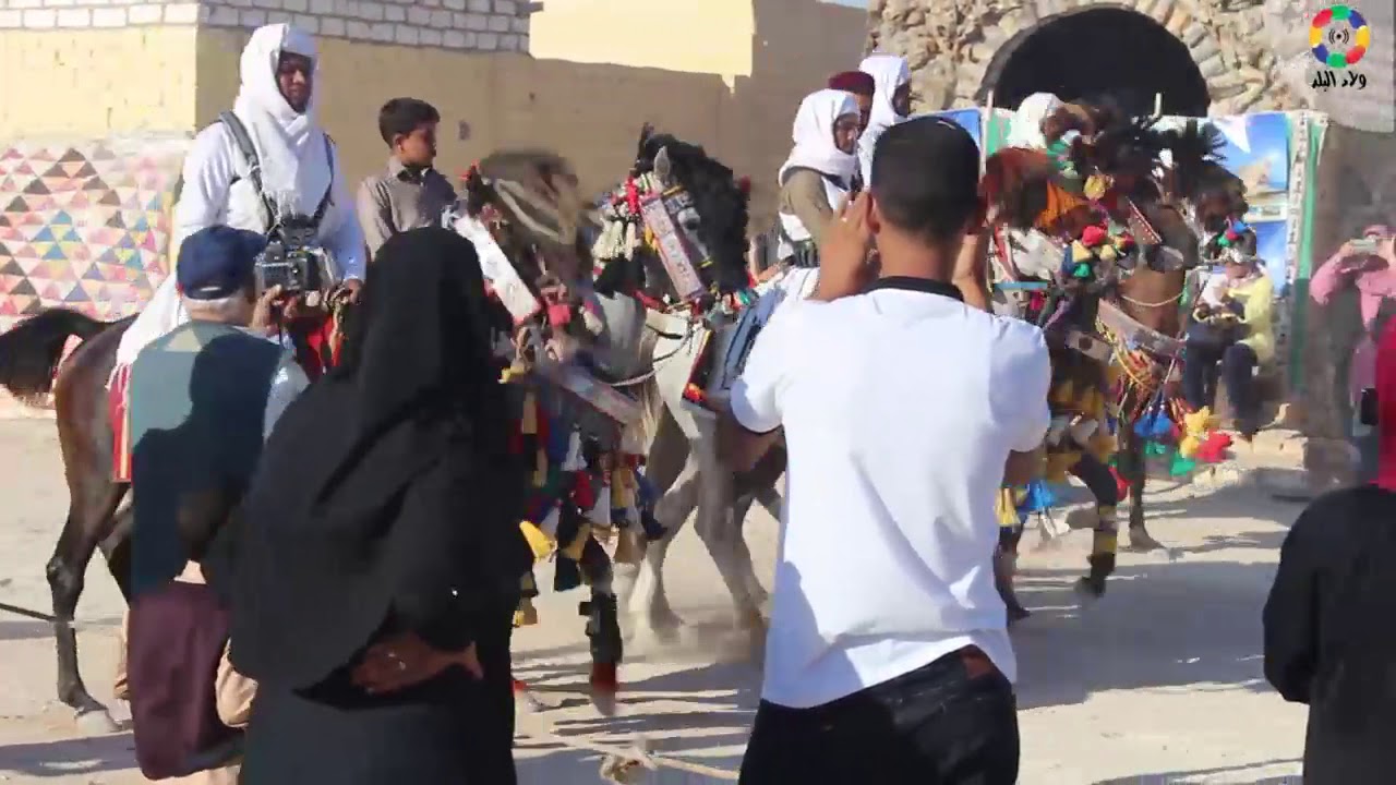 مطروح لنا | المهرجان الأول للزي البدوي بالقرية البدوية بمطروح