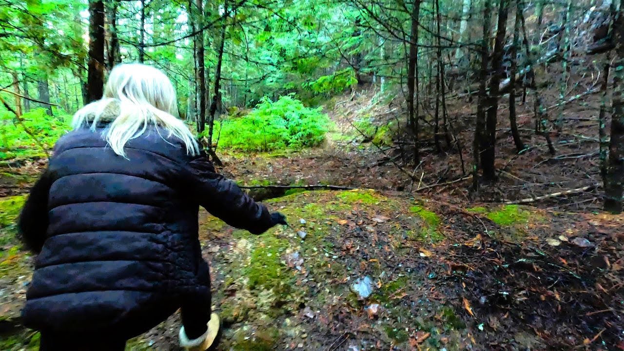 Skookum Sasquatch. Un-Nerving Incident In The Pacific Northwest
