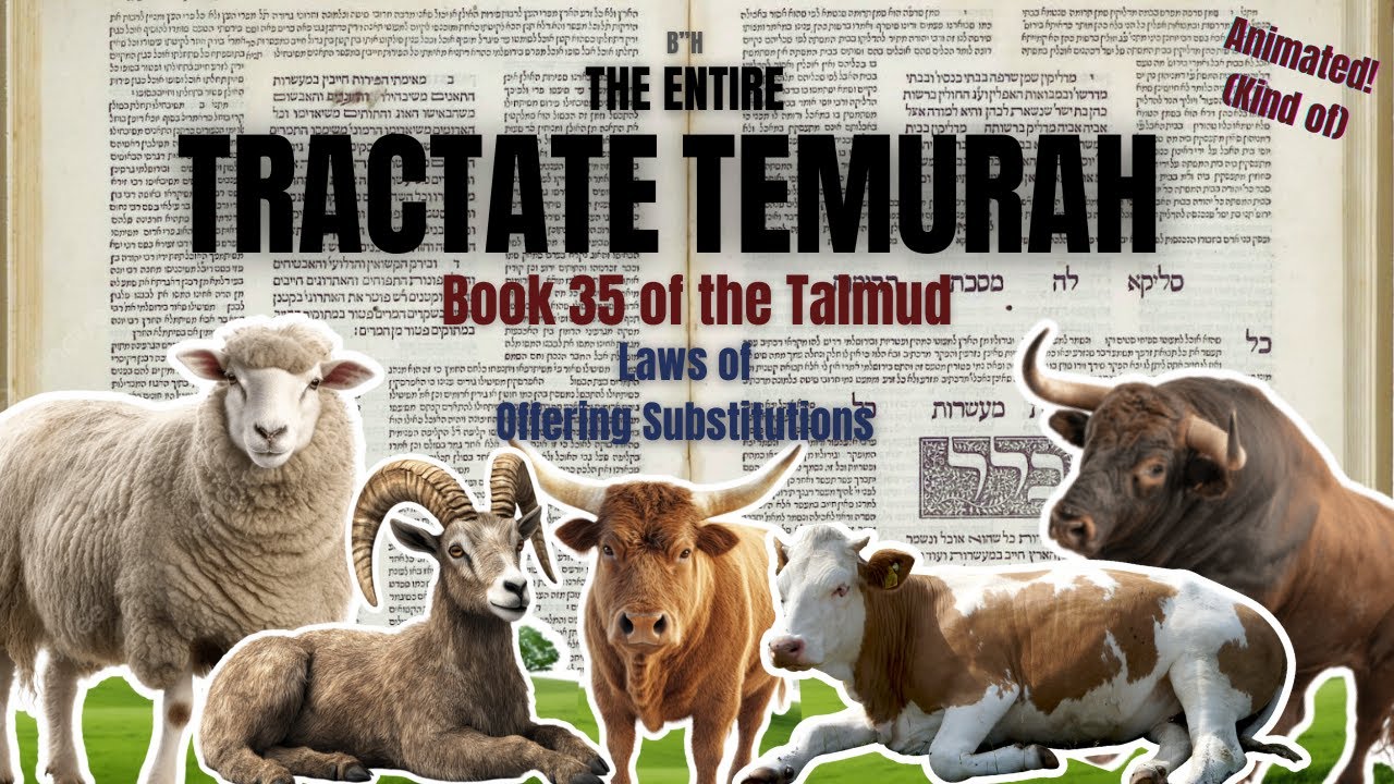 An Animated Summary of the Entire Tractate Temurah