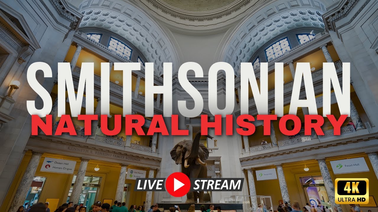LIVE STREAM: Smithsonian Natural History Museum Walking Tour 4K | Washington DC