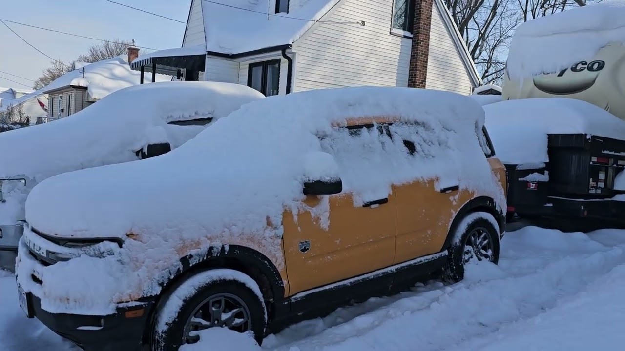 Снежная буря 26 января 2026 г.