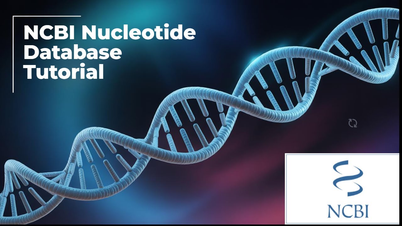 NCBI Nucleotide Database Tutorial | How to Search Genes & Download FASTA Sequences