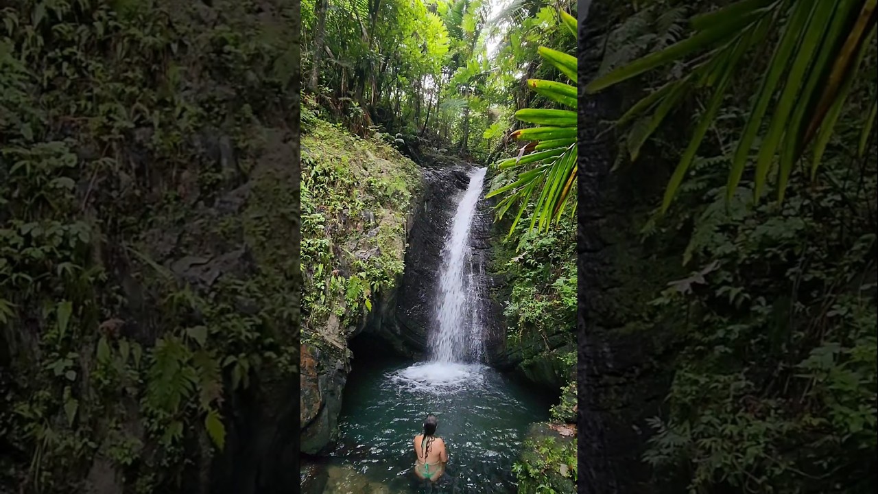 Cascada en el Yunque de Puerto Rico.  🙌🏻💯🇵🇷 #elyunque #elyunquenationalforest