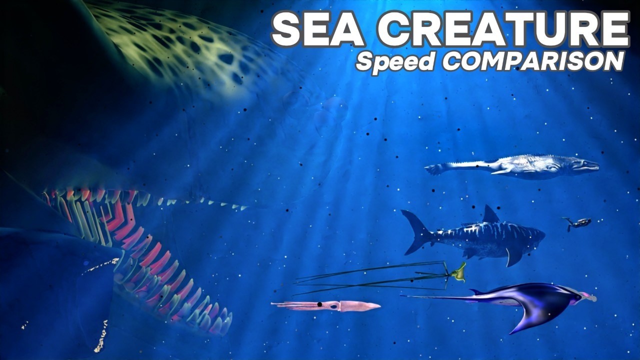 FASTEST Sea Creatures on the Planet | Speed Comparison