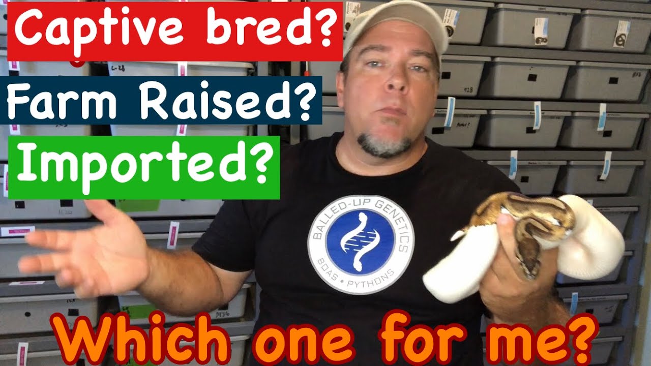 Captive bred | Farm Raised | Imported   which one is the best?