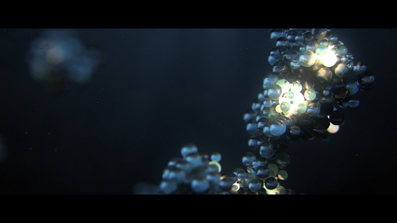 X-Particles Tutorial - Growth System