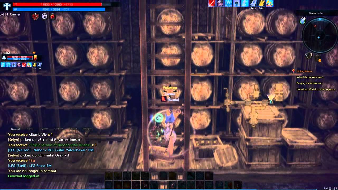 TERA Sinestral Manor duo