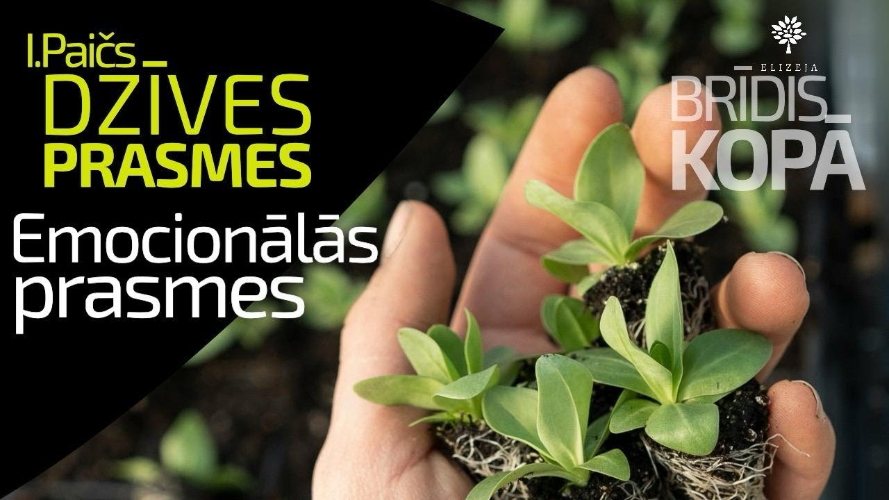 Spēcīgas emocijas ir viens no galvenajiem izaicinājumiem dzīvē. Kā tās konstruktīvi izpaust?