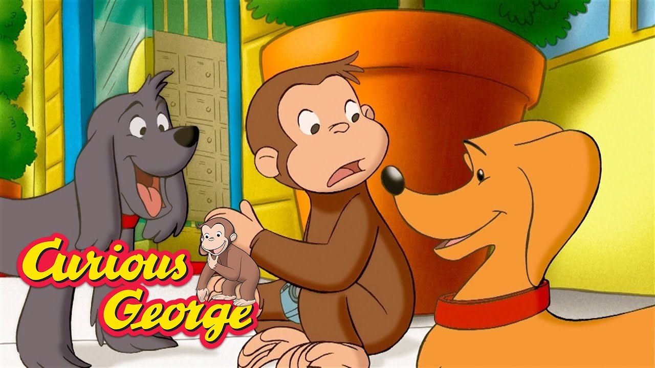 George and the Doggy Dilemma  🐵 Curious George 🐵 Kids Cartoon 🐵 Kids Movies