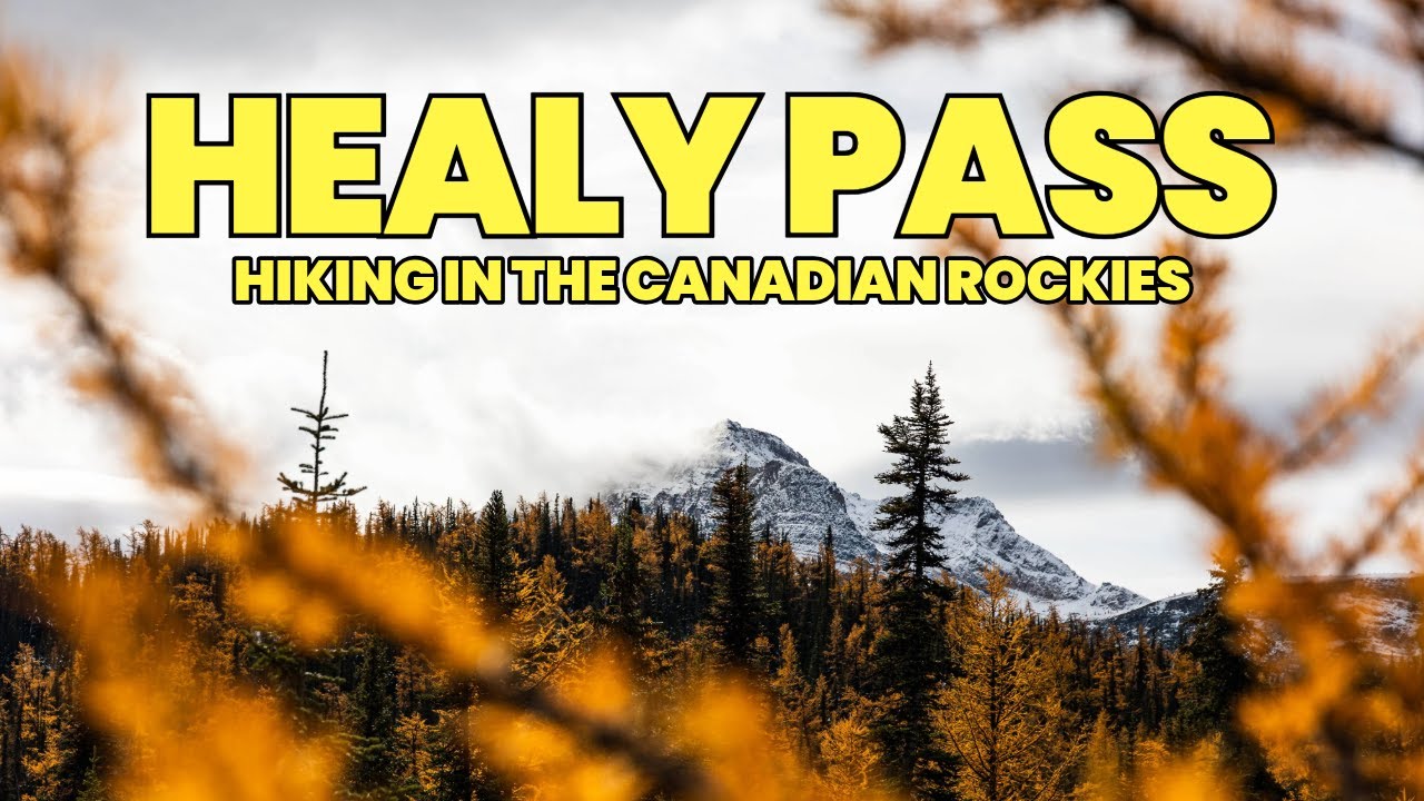 Golden Larch Hikes in BANFF NATIONAL PARK - Healy Pass Trail