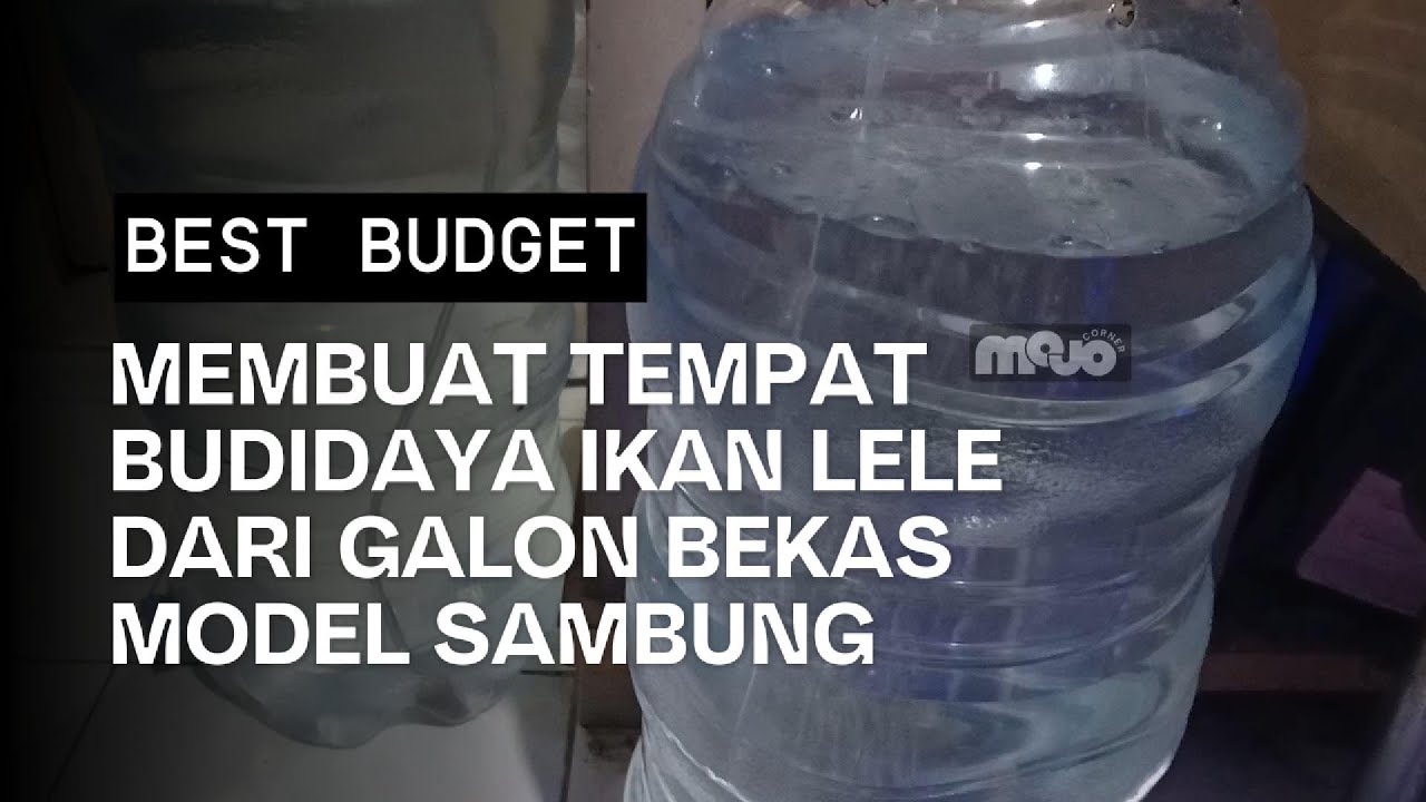MEMBUAT TEMPAT BUDIDAYA IKAN LELE DARI GALON BEKAS AIR MINERAL MODEL SAMBUNG