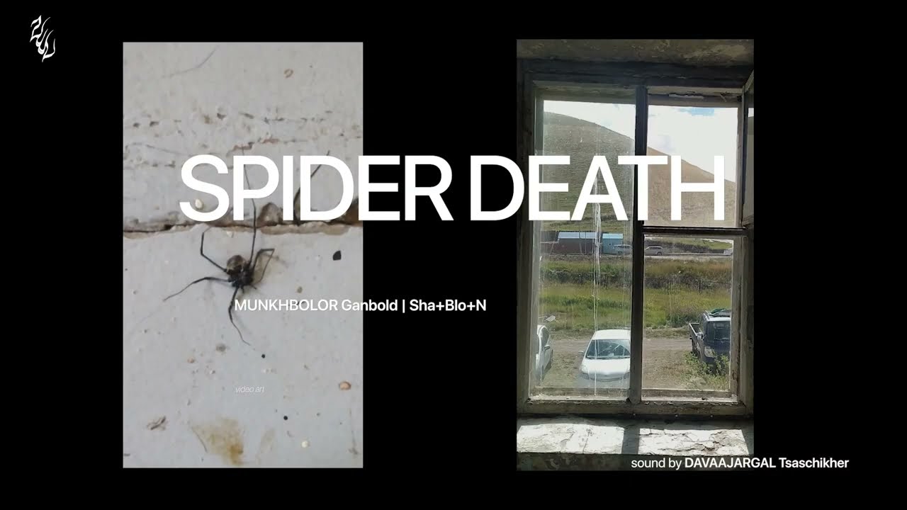 SPIDER DEATH | MUNKHBOLOR Ganbold - Sha+Blo+N