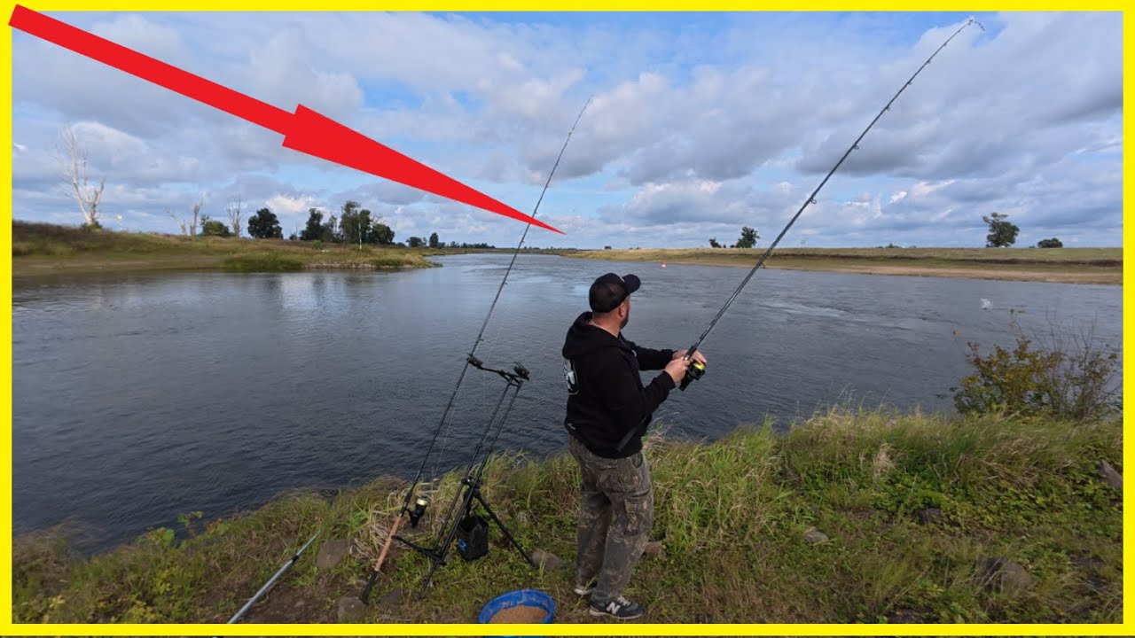 Allroundangeln am Fluss Elbe im Herbst: Wurm, Köderfisch und die Plage –als Köder unschlagbar?