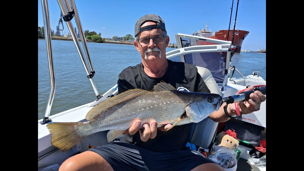 Christmas Break   Stacer SeaMaster 429   Fishing Buddies 2K