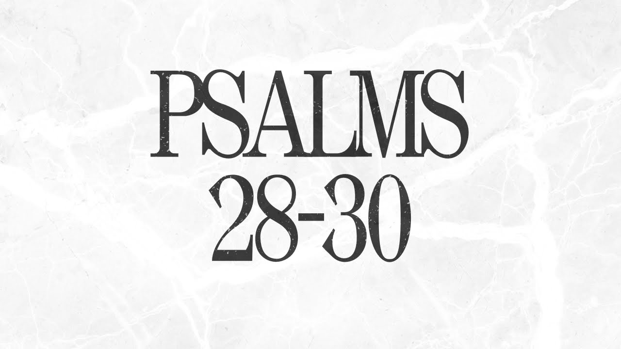 Day 41 | Psalms 28-30 | Bible In A Year Plan