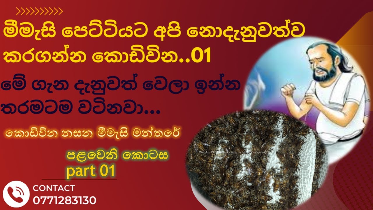 මීමැසි පෙට්ටියට ඔබ නොදැනුවත් කර ගන්නා කොඩිවින/ Flags you unwittingly add to the beehive 