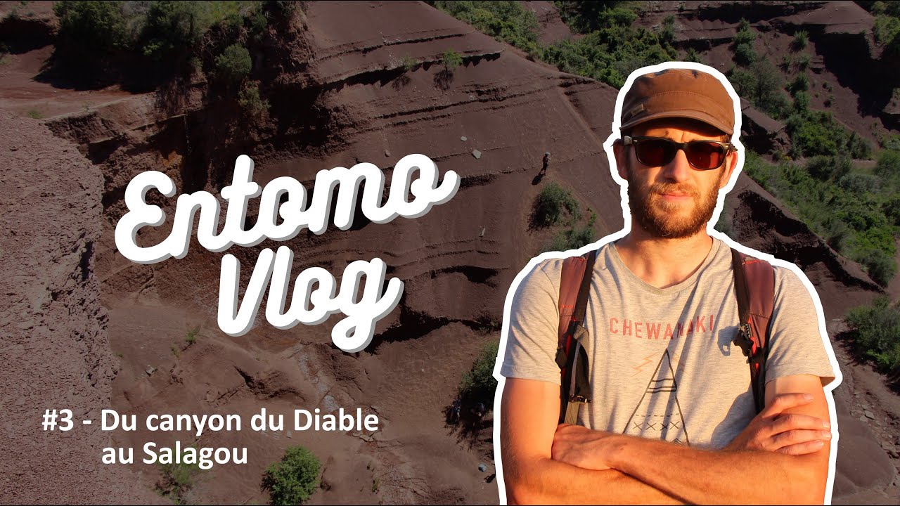 Entomo-vlog #3 - Du canyon du Diable au Salagou