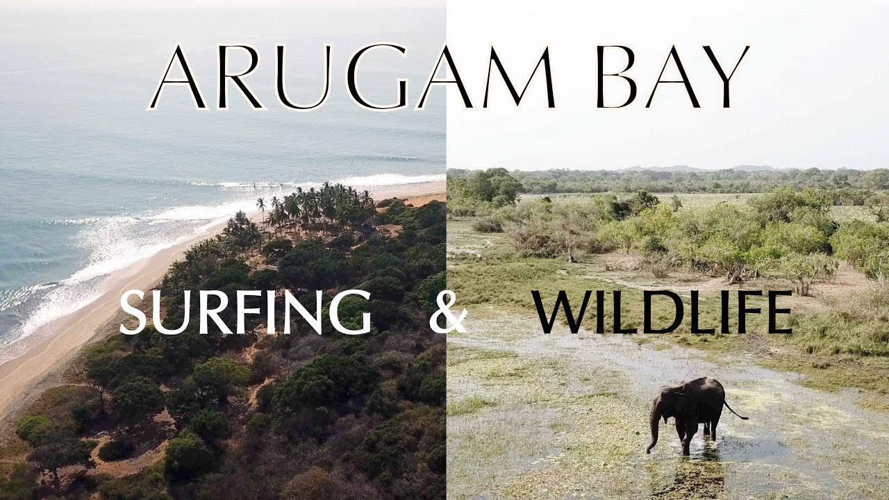 Arugam Bay | Sri Lanka | Surfing & Wildlife