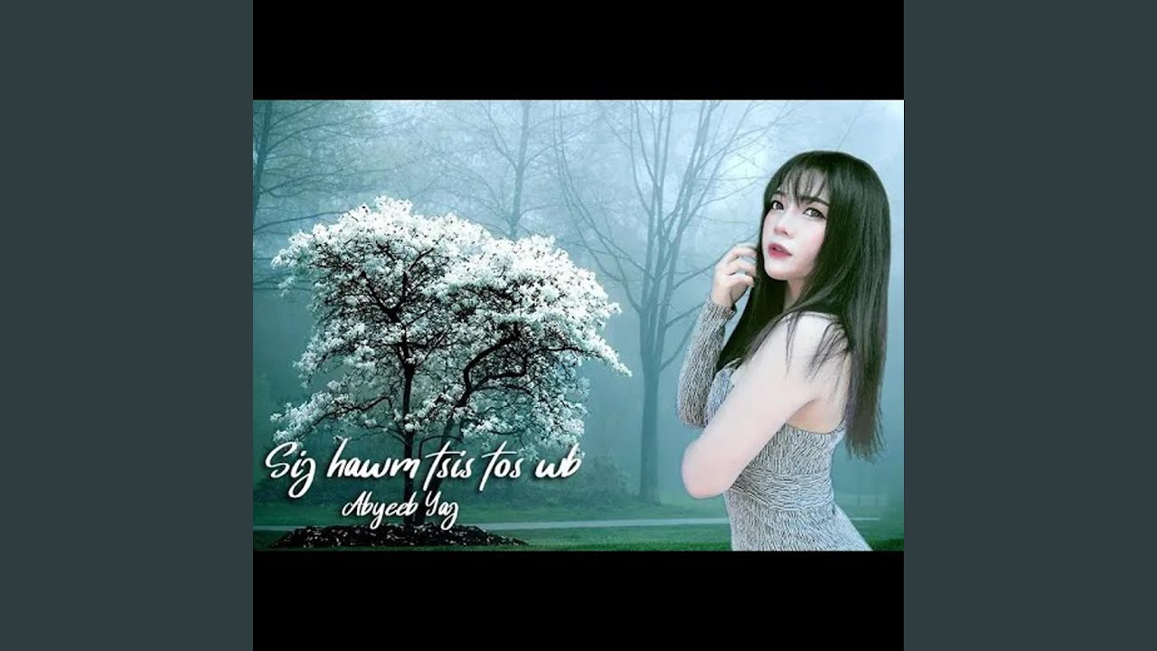 Sij Hawm Tsis Tos Wb